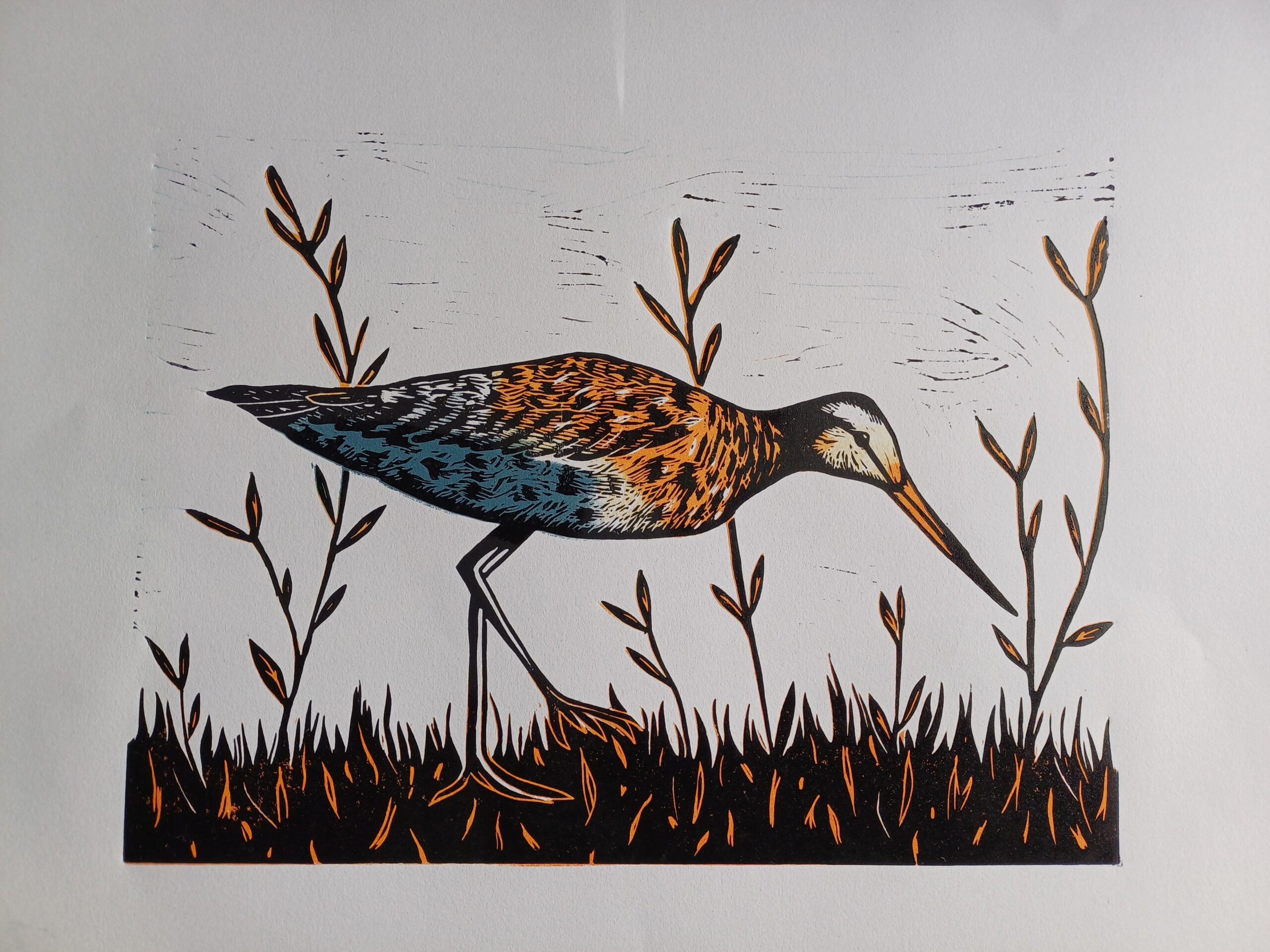 Hoogdruk: Reductie linosnede